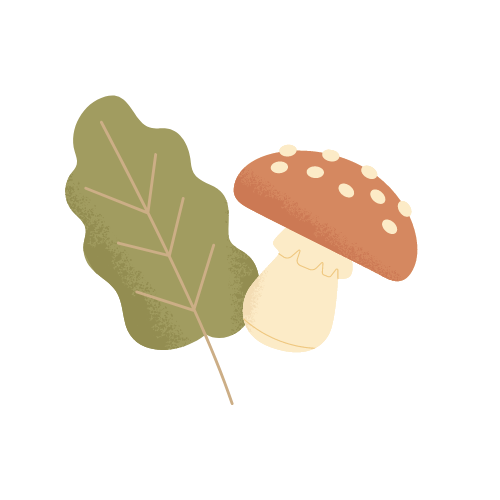 Decor